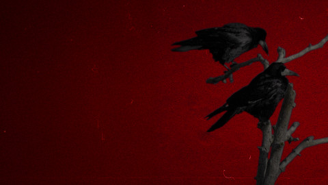 Vzpoura zvířat - 3/3 Nevítaná návštěva