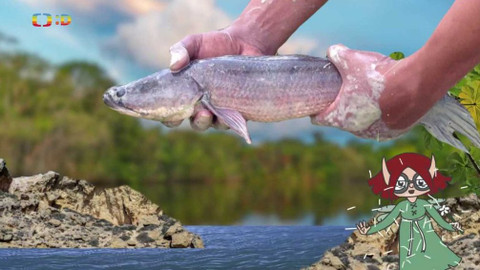 Ty Brďo! - Rybáři