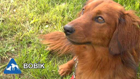 Chcete mě? - Chcete je?