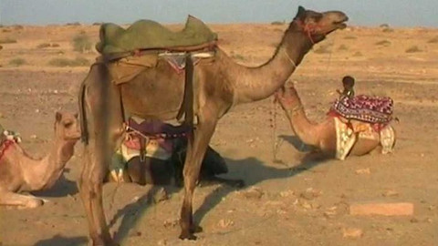 Objektiv - 12. prosince 2004