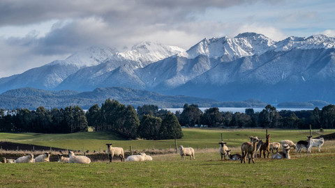 Na cestě - Na cestě po novozélandském Te Wahipounamu