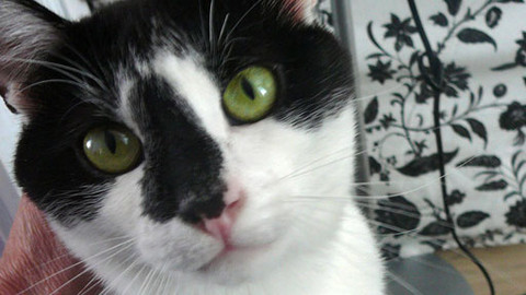 Máte mě! - 3. července 2011