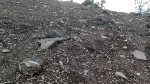 Černé ovce - 29. října