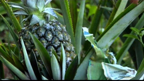 Na cestě - Na cestě po Gran Asunciónu