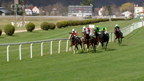 Dostihy - Gomba handicap