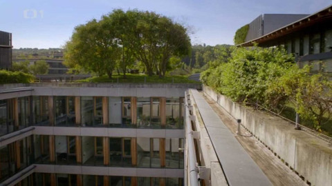 Kapka vody - Pozitiva zelených střech