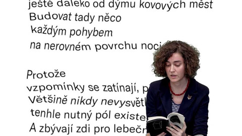 Jedna báseň - Klára Goldstein