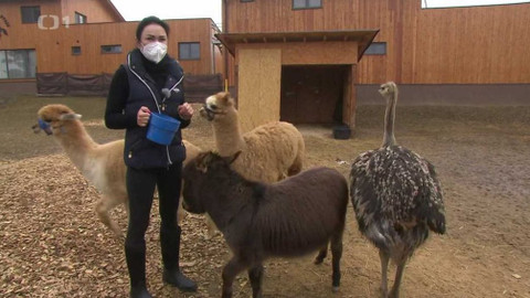 Hobby naší doby - 24. dubna 2021