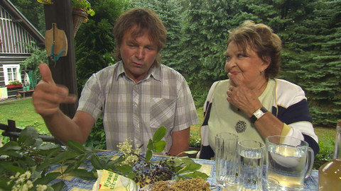 Hobby naší doby - 4. června 2016