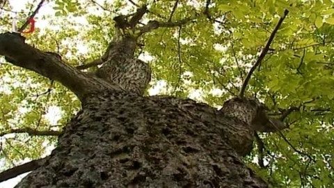 Zahrada je hra - 13. listopadu 2008