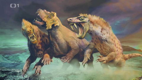 Gejzír - 30. května 2019