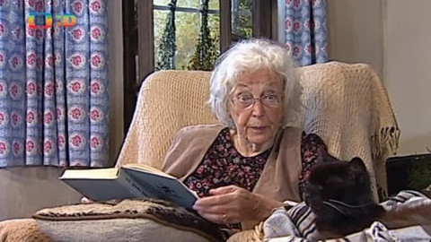 Čtení do ouška - Kocour Mikeš II