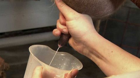 Polopatě - 10. dubna 2022