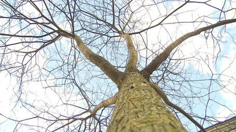 Z metropole - 3. ledna 2015