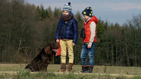 S Hubertem do lesa - Ušáci