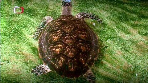 Babylon - 5. srpna 2011