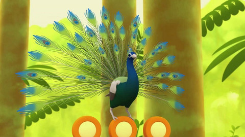 Leo, strážce přírody - Páv korunkatý