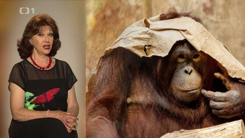 Kalendárium - 13. srpna 2023