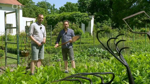 Polopatě - 19. června 2022