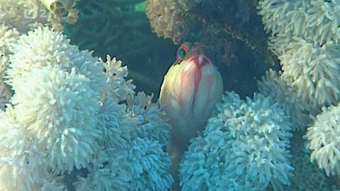 Země a města světa - Egypt, mystické barvy Sinaje