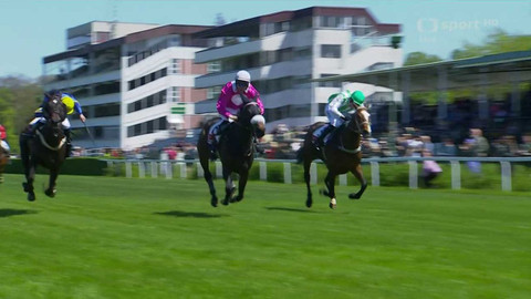 Dostihy - Úvodní cross country Koroka