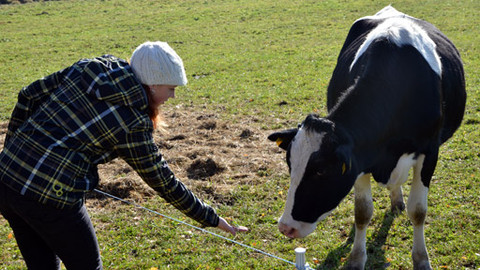 Malá farma - U bio sousedů
