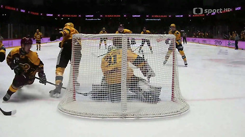 1. česká hokejová liga mužů - Maxa liga - souhrn