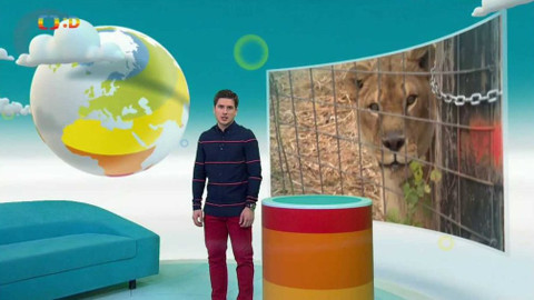 Zprávičky - 9. prosince 2017