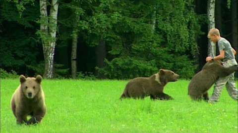 Méďové - Letní setkání