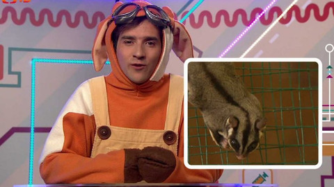 Telefon - 18. března 2016