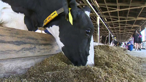 Zkraje - 17. srpna 2024