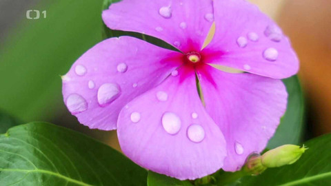 Polopatě - 5. června 2022