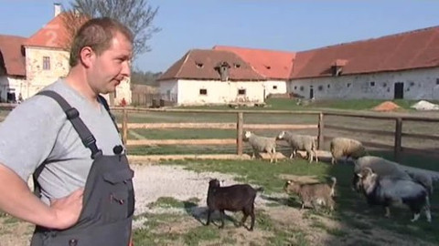 Náš venkov - Oživené dvory