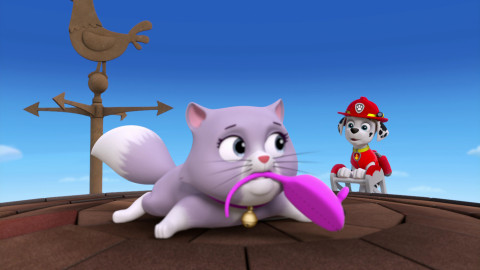 Tlapková patrola - Tlapky zachraňují slavnost / Tlapky zachraňují Alexe