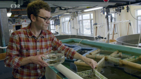 Dobrodružství vědy a techniky - Naše orgány - vývoj ve vodě