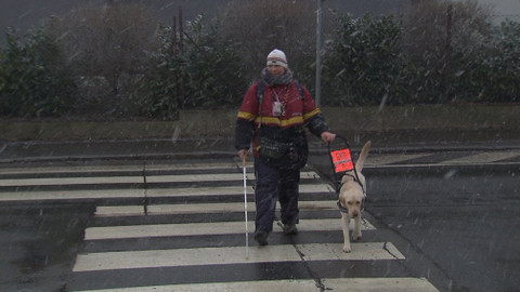 Chcete mě? - 27. ledna 2019