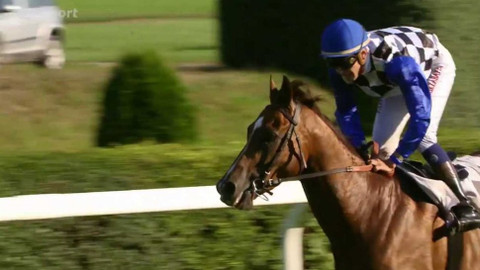 Jezdectví - St. Leger