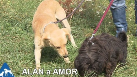 Chcete mě? - Chcete je?