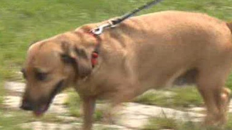 Chcete mě? - Chcete je?