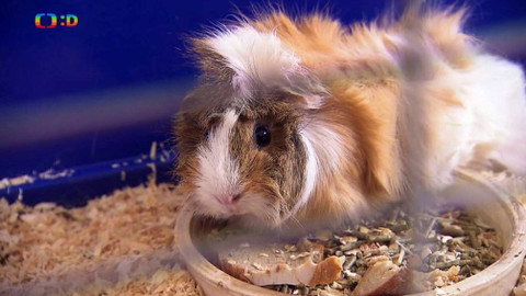 Terčin zvířecí svět - 4. května 2018