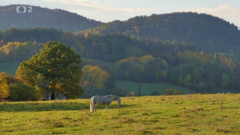 Rok českých tradic aneb Co nám svět může závidět - 2/2 Podzim a zima