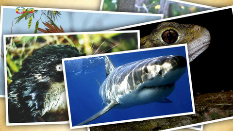 Terčin zvířecí svět - 13. února