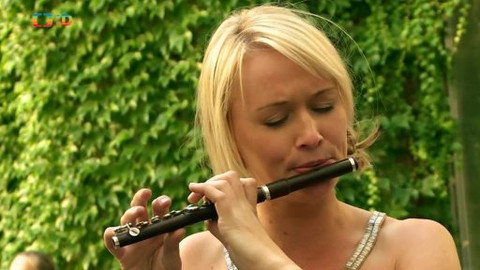 Filharmonici na ulici - Flétna