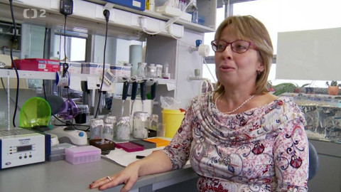 Queer - Virus, láska, naděje