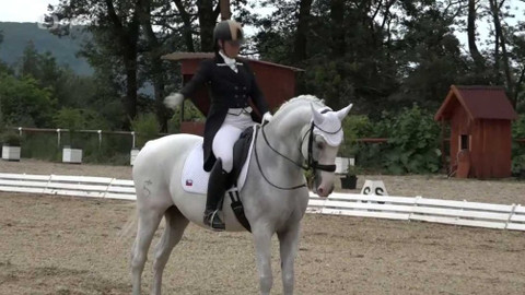 Jezdectví - Mezinárodní závody v drezuře CDI-W Brno