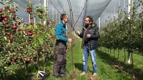 Polopatě - 21. října 2018