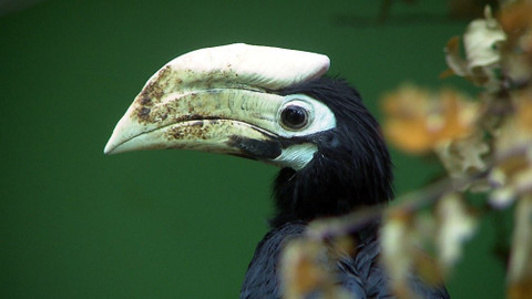 Chcete mě? - 13. ledna 2019