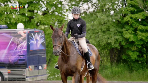 Nejlepší zvítězí: Severní Amerika - Epizoda 3/11