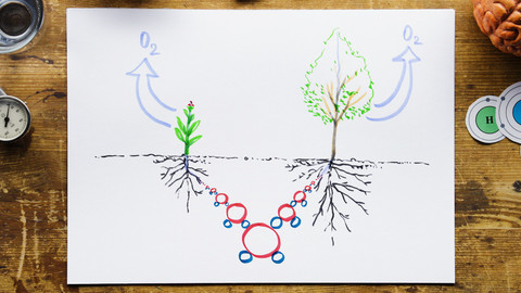 What the Fact? - Proč je voda nezbytná pro život?