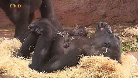 Zprávičky - 12. dubna 2024